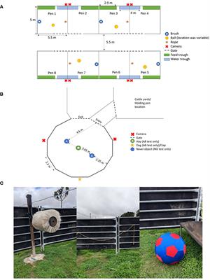 Environmental enrichment during yard weaning alters the performance of calves in an attention bias and a novel object recognition test